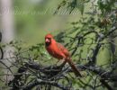 dsc.jpgmaster